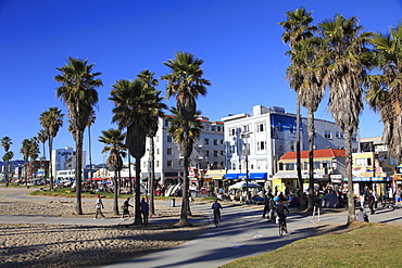 Venice Beach, Los Angeles, California, United States of America, North America