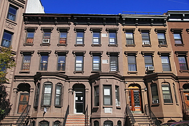 Brownstones, Harlem, Manhattan, New York City, United States of America, North America