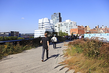 High Line Park, elevated public park on former rail tracks, Manhattan, New York City, United States of America, North America