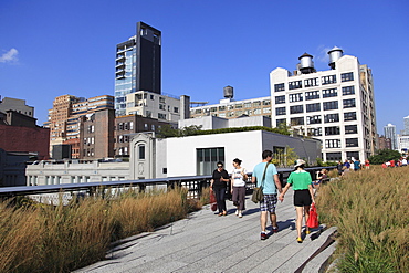 High Line Park, elevated public park on former rail tracks, Manhattan, New York City, United States of America, North America