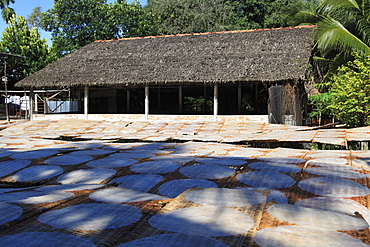 Rice paper crepes drying, Rice Noodle Factory, Mekong Delta, Can Tho Province, Vietnam, Indochina, Southeast Asia, Asia 