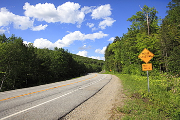 Moose Crossing Sign, White Mountain National Forest, New Hampshire, New England, United States of America, North America