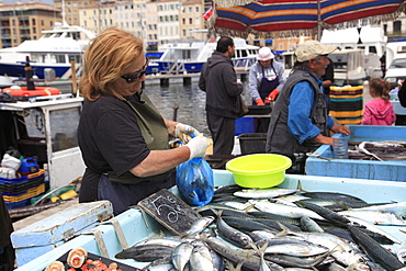 Fish Market, Vieux Port (Old Port), Harbor, Marseille, Bouches du Rhone, Provence Alpes Cote d Azur, Provence, France, Europe