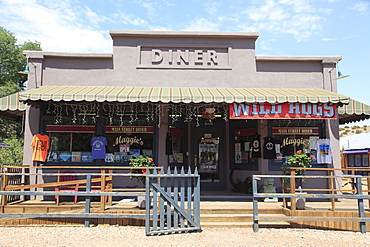 Diner where Wild Hogs movie was filmed, Madrid, former mining town in the Ortiz Mountains, Turquoise Trail, New Mexico, United States of America, North America