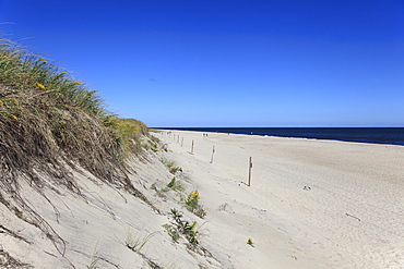 Nauset Light Beach, Cape Cod National Seashore, Orleans, Cape Cod, Massachusetts, New England, United States of America, North America