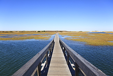 Boardwalk, Salt Marsh, Sandwich, Cape Cod, Massachusetts, New England, United States of America, North America