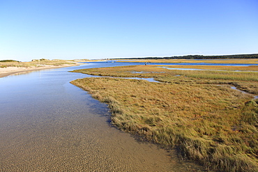 Salt Marsh, Sandwich, Cape Cod, Massachusetts, New England, United States of America, North America