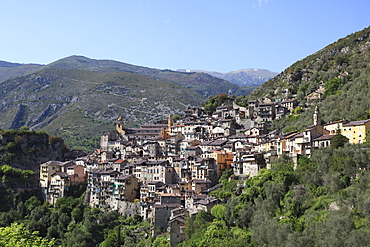 Saorge, perched Medieval village, Roya Valley, Alpes-Maritimes, Cote d'Azur, French Riviera, Provence, France, Europe