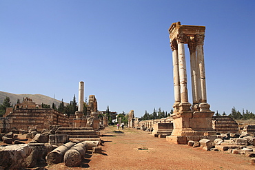 Umayyad period ruins, Aanjar, UNESCO World Heritage Site, Bekka Valley, Lebanon, Middle East