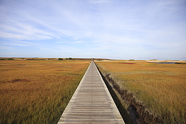 Sandwich Boardwalk, Salt Marsh, Sandwich, Cape Cod, Massachusetts, New England, United States of America, North America