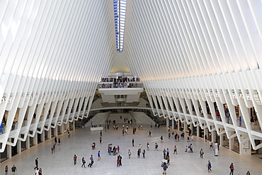 Oculus, architect Santiago Calatrava, World Trade Center Transportation Hub, Financial District, Manhattan, New York City, United States of America, North America