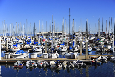 Marina, Monterey, Monterey Bay, Peninsula, Pacific Ocean, California, United States of America, North America