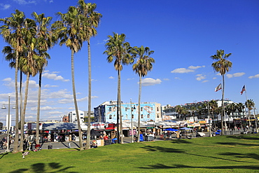 Venice Beach, Los Angeles, California, United States of America, North America