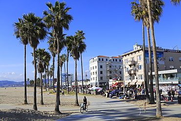 Venice Beach, Los Angeles, California, United States of America, North America