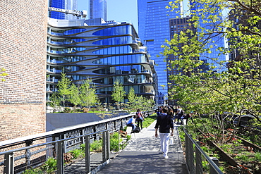 High Line Park, Manhattan, New York City, New York, United States of America, North America