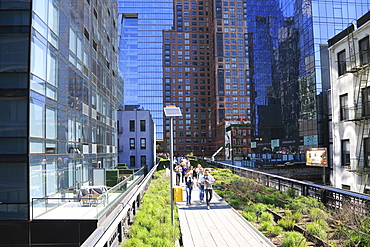 High Line Park, Manhattan, New York City, New York, United States of America, North America