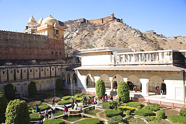 Garden, Amber Fort Palace with Jaigarh Fort or Victory Fort above, Jaipur, Rajasthan, India, Asia