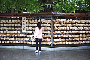 Wooden fortune (omikuji), prayer plaques, Meiji Jingu Shrine, Shinto Shrine, Tokyo, Japan, Asia