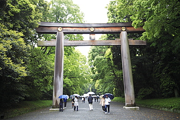 Yoyogi Park, Harajuku, Tokyo, Japan, Asia