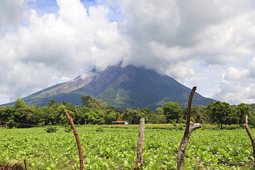 Volcano Concepcion, Isla de Ometepe, Ometepe Island, Nicaragua, Central America