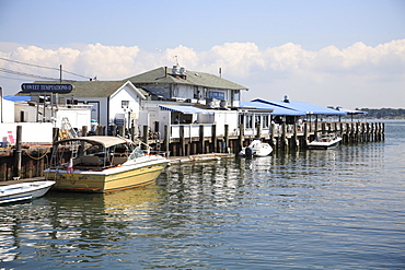 Harbor, Shelter Island Sound, Greenport, Long Island, North Fork, New York, United States of America, North America