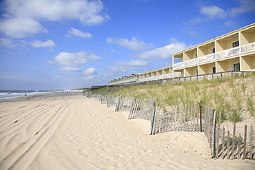 Beach, Montauk, Long Island, New York, United States of America, North America