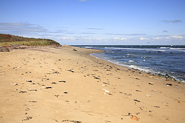 Montauk Point State Park, Montauk, Long Island, New York, United States of America, North America