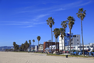 Venice Beach, Los Angeles, California, United States of America, North America