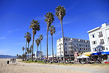 Venice Beach, Los Angeles, California, United States of America, North America