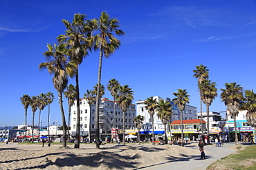 Venice Beach, Los Angeles, California, United States of America, North America