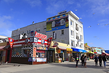 Venice Beach, Los Angeles, California, United States of America, North America