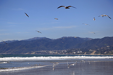 Beach, Santa Monica, Malibu Mountains, Los Angeles, California, United States of America, North America