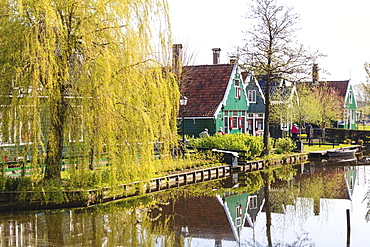 Preserved historic houses in Zaanse Schans, a village and working museum on the banks of the river Zaan, near Amsterdam, Zaandam, North Holland, Netherlands, Europe