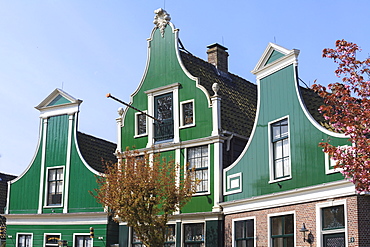 Preserved historic houses in Zaanse Schans, a village on the banks of the River Zaan, near Amsterdam, a tourist attraction and working museum, Zaandam, North Holland, Netherlands, Europe 