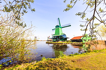 Preserved historic windmills and houses in Zaanse Schans, a village on the banks of the river Zaan, near Amsterdam, it is a popular tourist attraction and working museum, Zaandam, North Holland, Netherlands