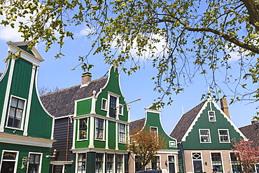 Preserved historic houses in Zaanse Schans, a village on the banks of the River Zaan, near Amsterdam, a tourist attraction and working museum, Zaandam, North Holland, Netherlands, Europe