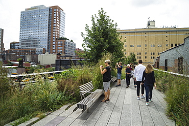 High Line public park, Meatpacking District, New York City, New York, United States of America, North America