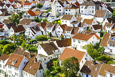 Old Stavanger (Gamle Stavanger) comprising about 250 buildings dating from early 18th century, mostly small white cottages, Stavanger, Rotaland, Norway, Scandinavia, Europe