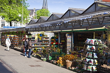 Bloemenmarkt (flower market), Amsterdam, Netherlands, Europe