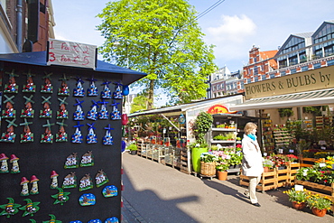 Bloemenmarkt (flower market), Amsterdam, Netherlands, Europe