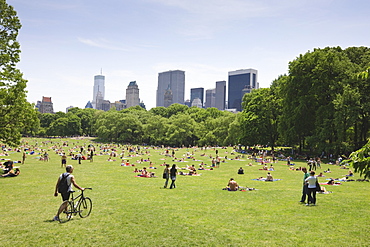 Sheep Meadow, Central Park on a Summer day, New York City, New York, United States of America, North America