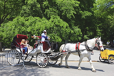 Horse and buggy, Central Park, Manhattan, New York City, New York, United States of America, North America