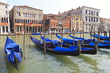 Grand Canal, Venice, UNESCO World Heritage Site, Veneto, Italy, Europe