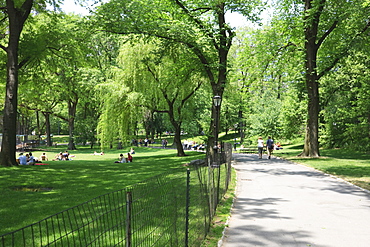 Central Park, Manhattan, New York City, New York, United States of America, North America