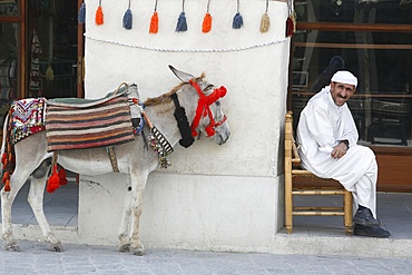 Old Souq (Souq Waqif), Doha, Qatar, Middle East