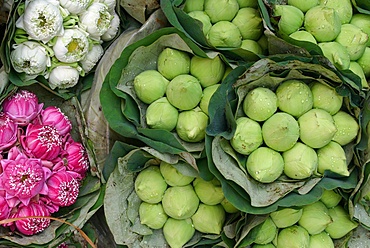 Lotus flowers, Bangkok, Thailand, Southeast Asia, Asia