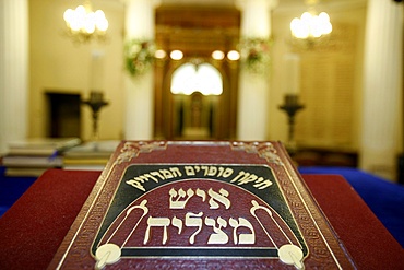 Torah in Avignon Synagogue, Avignon, Vaucluse, France, Europe