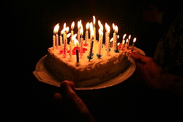 Birthday cake, Paris, France, Europe