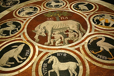 Romulus and Remus in marble work in the Duomo di Sienna, Siena, Tuscany, Italy, Europe