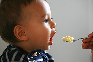 Baby feeding, France, Europe